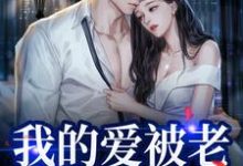 我的爱被老婆永久拉黑热门小说(姜软软段辞)在线阅读无弹窗-永恒文学