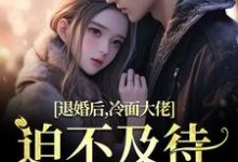 黎九霍骁小说免费阅读最新章节列表，退婚后，冷面大佬迫不及待要娶我小说在线看-永恒文学