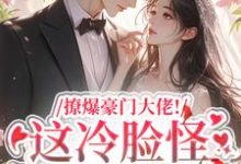 小说撩爆豪门大佬!这冷脸怪居然很纯情主角云漾裴今墨免费阅读-永恒文学