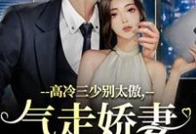 小说高冷三少别太傲，气走娇妻你完了！主角江晚宁庄凌洲免费阅读-永恒文学