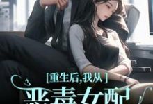 重生后,我从恶毒女配变清纯白花(沈黎霍司衍)最新章节在线阅读-永恒文学