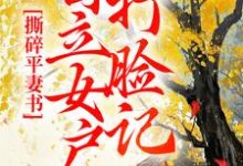 撕碎平妻书：自立女户打脸记完结版孔临安薛相宜免费阅读大结局-永恒文学