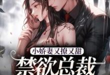 小娇妻又撩又甜，禁欲总裁宠上瘾精彩章节在线免费阅读（江熹季向聿）-永恒文学