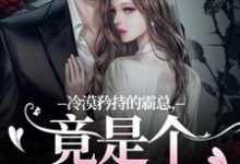 冷漠矜持的霸总，竟是个纯爱战士（宋诗予段斯昀）最新章节在线阅读-永恒文学