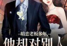 顾楠裴颂忱在线阅读,暗恋老板多年,他却对别人温柔相待小说完结版章节-永恒文学