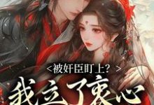 秦烟年沈知也在线阅读，被奸臣盯上？我立了衷心小弟人设！小说完结版章节-永恒文学