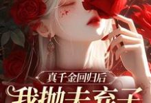 真千金回归后,我抛夫弃子独自美丽精彩章节阅读(苏黎陆敬煊)免费阅读大结局-永恒文学