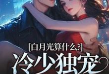宋词慕景川在线阅读，白月光算什么？冷少独宠拍卖师！小说完结版章节-永恒文学