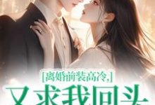 小说离婚前装高冷，又求我回头做什么主角苏念封承烬免费阅读-永恒文学
