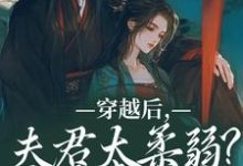 穿越后，夫君太柔弱？我来夺江山完结版沈微萧御衡免费阅读大结局-永恒文学