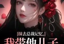 抹去总裁记忆，我带他儿子回苗寨（裴景澈梨尤笙）完结版免费阅读-永恒文学
