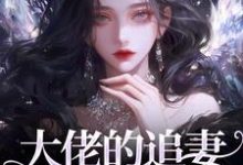 主人公是姜沁笙纪怀舟的小说大佬的追妻火葬场：晚了，姐不稀罕免费阅读-永恒文学