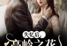 失忆后，高岭之花他又撩又哄在线看，黎漾裴政臣小说大结局在哪免费看-永恒文学