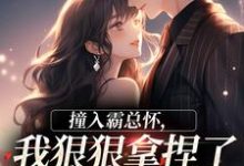 撞入霸总怀，我狠狠拿捏了他的心热门小说排行榜撞入霸总怀，我狠狠拿捏了他的心徐漪沅贺岁聿免费小说全本-永恒文学