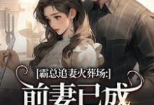 (全文)霸总追妻火葬场：前妻已成人间富贵花秦桑傅霆深小说推荐，霸总追妻火葬场：前妻已成人间富贵花全章小说阅读-永恒文学