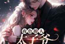 (全文)夜色撩人，太子爷为她乱了心热门小说排行榜，夜色撩人，太子爷为她乱了心楚璃徐砚周全章小说阅读-永恒文学