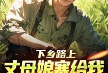 下乡路上，丈母娘塞给我一车嫁妆林辰宋雨试读更新章节下乡路上，丈母娘塞给我一车嫁妆林辰宋雨免费小说-永恒文学