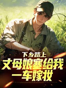(全文)下乡路上，丈母娘塞给我一车嫁妆(林辰宋雨)全本免费在线阅读