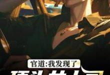 官道：我发现了顶头女上司的秘密完整版小说，官道：我发现了顶头女上司的秘密徐青胡丽娜试读更新章节-永恒文学