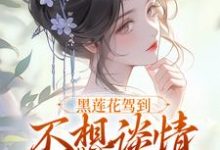 黑莲花驾到宁司寒林妩小说宁司寒林妩完结小说推荐,黑莲花驾到宁司寒林妩小说全章小说阅读-永恒文学