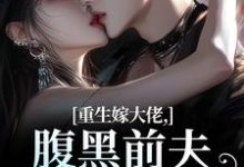 (全文)重生嫁大佬，腹黑前夫追妻火葬场林疏桐贺霆屿小说推荐，重生嫁大佬，腹黑前夫追妻火葬场全章小说阅读-永恒文学