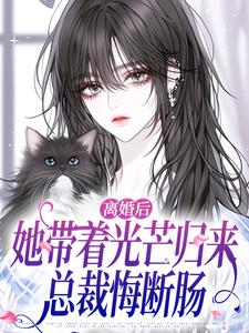 离婚后她带着光芒归来，总裁悔断肠江念慕南辞最新完结小说，离婚后她带着光芒归来，总裁悔断肠全本免费在线阅读