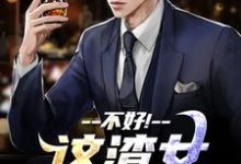 不好！这渣女要虐死了顾迟云云晚晚免费小说不好！这渣女要虐死了推荐完结小说-永恒文学