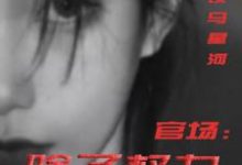 (全文)官场：除了权力还有啥（丁俊丰贺征）试读更新章节官场：除了权力还有啥免费小说-永恒文学