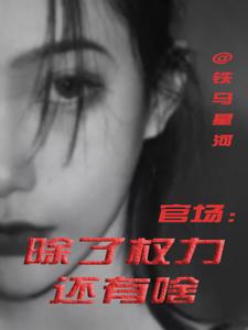(全文)官场：除了权力还有啥（丁俊丰贺征）试读更新章节官场：除了权力还有啥免费小说