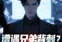 (全文)遭遇兄弟背刺？我直接去偷家完结小说推荐秦东骆小蝶全本书籍阅读-永恒文学