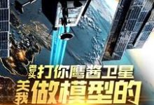 老头打你鹰酱卫星，关我做模型的什么事秦阳最新完结小说，老头打你鹰酱卫星，关我做模型的什么事全本免费在线阅读-永恒文学