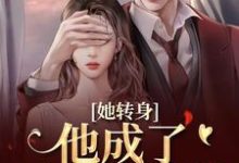 她转身，他成了不放的疯批热门小说排行榜她转身，他成了不放的疯批陆芷霍征铭免费小说全本-永恒文学