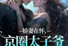 娇妻在怀，京圈太子爷低头诱宠苏渝穆寒昭热门小说排行榜娇妻在怀，京圈太子爷低头诱宠免费小说-永恒文学