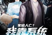 家破人亡？我靠系统儿孙满堂最新完结小说家破人亡？我靠系统儿孙满堂柳若澜许良免费小说-永恒文学