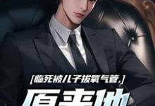 临死被儿子拔氧气管，原来他非亲生（林子阳）全章小说阅读-永恒文学