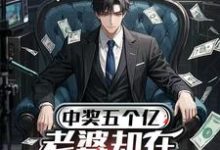 中奖五个亿，老婆却在领奖前提离婚陈志完结小说推荐中奖五个亿，老婆却在领奖前提离婚全本书籍阅读-永恒文学