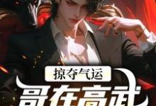 掠夺气运，哥在高武世界赢麻了（沈无萧）全本书籍阅读掠夺气运，哥在高武世界赢麻了完整版小说-永恒文学