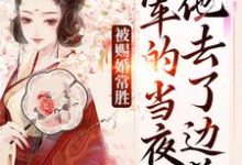 被赐婚常胜将军的当夜,他去了边关青妩燕昭热门小说排行榜被赐婚常胜将军的当夜,他去了边关免费小说-永恒文学