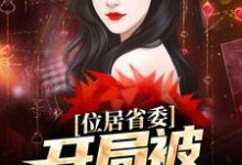 位居省委，开局被妻子举报苏玉黎锦试读更新章节位居省委，开局被妻子举报苏玉黎锦免费小说-永恒文学