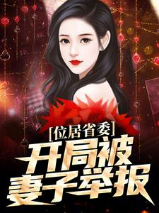 位居省委，开局被妻子举报苏玉黎锦试读更新章节位居省委，开局被妻子举报苏玉黎锦免费小说