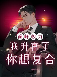 巅峰权力：我升官了你想复合林磊免费小说巅峰权力：我升官了你想复合推荐完结小说