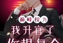 巅峰权力：我升官了你想复合（林磊）全本书籍阅读巅峰权力：我升官了你想复合完整版小说-永恒文学