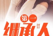 第一继承人徐飞热门小说排行榜第一继承人免费小说-永恒文学