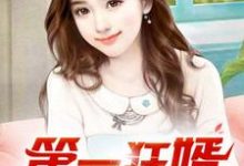 (全文)第一狂婿（林枫）全本书籍阅读第一狂婿免费小说全本-永恒文学
