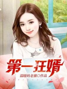 (全文)第一狂婿（林枫）全本书籍阅读第一狂婿免费小说全本