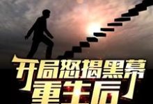 (全文)开局怒揭黑幕，重生后整顿官场陈知行小说推荐，开局怒揭黑幕，重生后整顿官场全章小说阅读-永恒文学