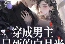 穿成男主早死的白月光？我不干了（谢观砚林茉）全章小说阅读-永恒文学