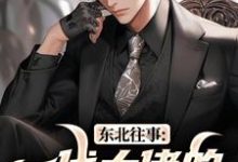 东北往事：一代大佬的成功之路完整版小说东北往事：一代大佬的成功之路(王晨马三)全章小说阅读-永恒文学