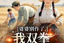 (全文)婆婆别作了,我双拳一出就是虐完结小说推荐夏晚晴赵宴京全本书籍阅读-永恒文学