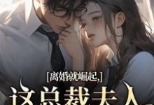 (全文)离婚就崛起，这总裁夫人她不做了(苏心瑶南羽陌)全本免费在线阅读-永恒文学